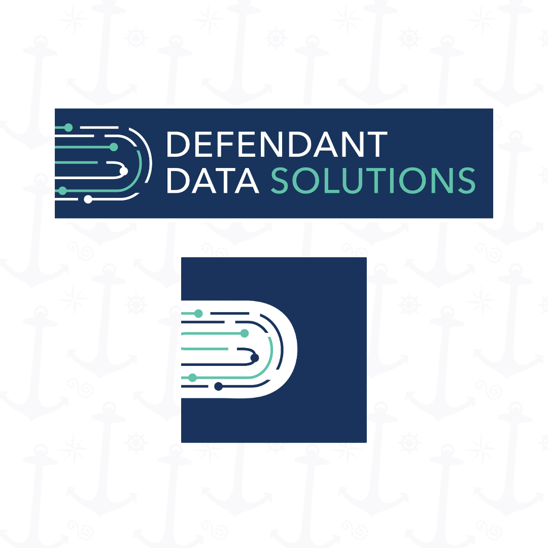 Defendant Data Solutions Logo